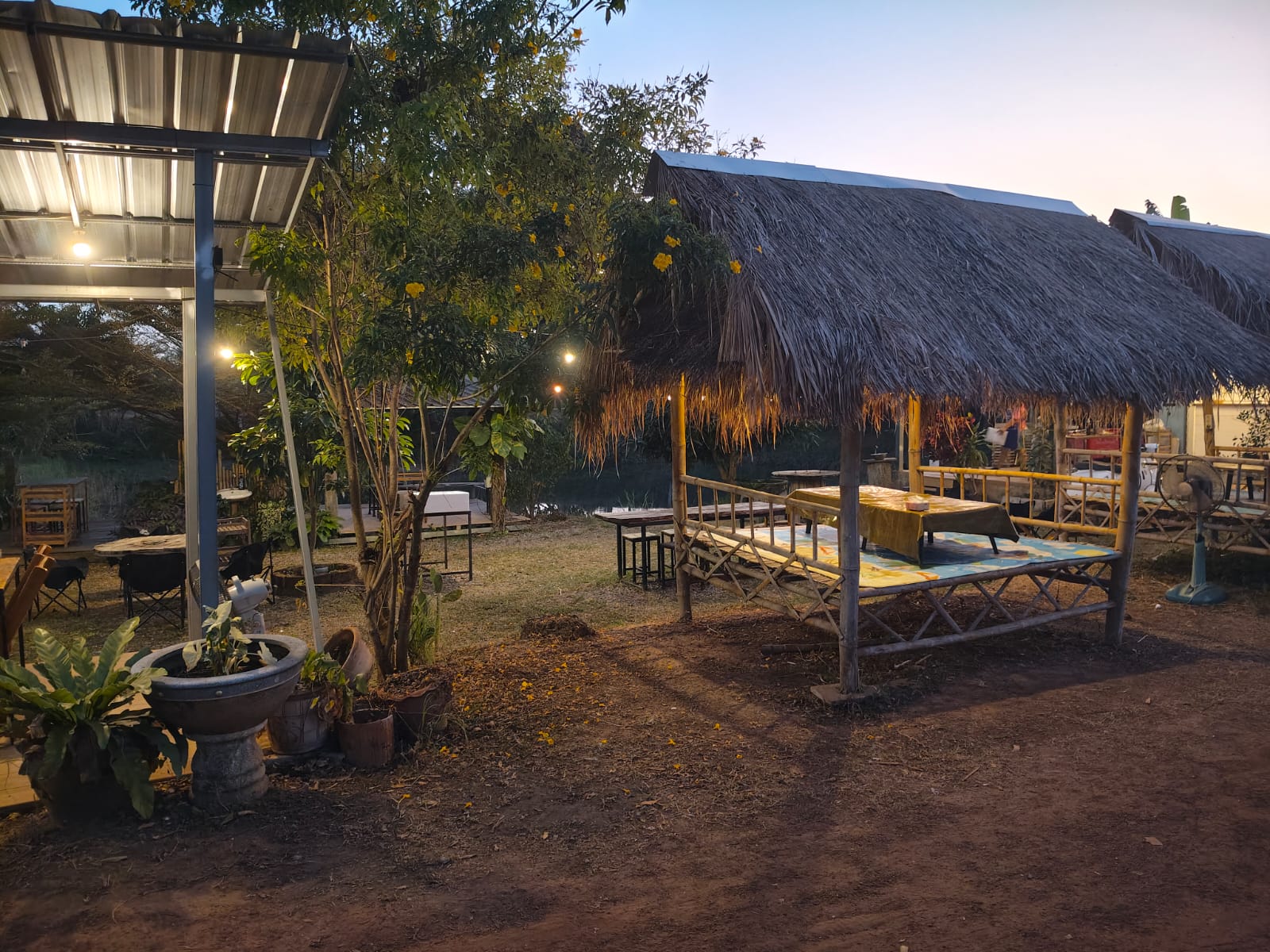 Discovery & Farm Immersion